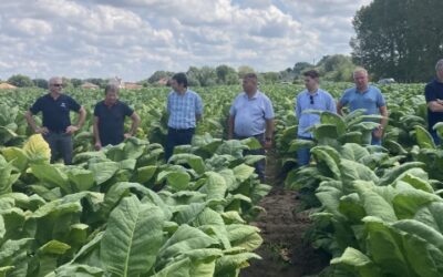 Vetőmagszemle és fajtabemutató 2025